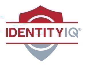 IdentityIQ Logo